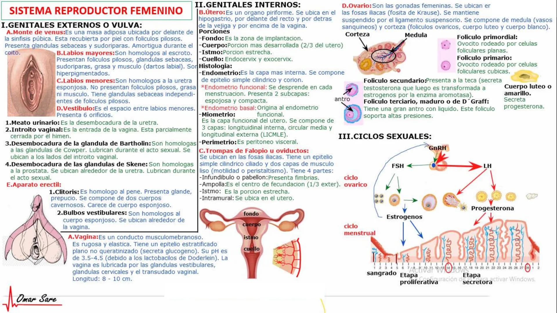 INTRODUCCIÓN A LA HISTOLOGÍA
I. DEFINICION DE HISTOLOGIA:
Etimologicamente deriva de histo (tejido) y
logos (tratado o estudio).
Es la cienc