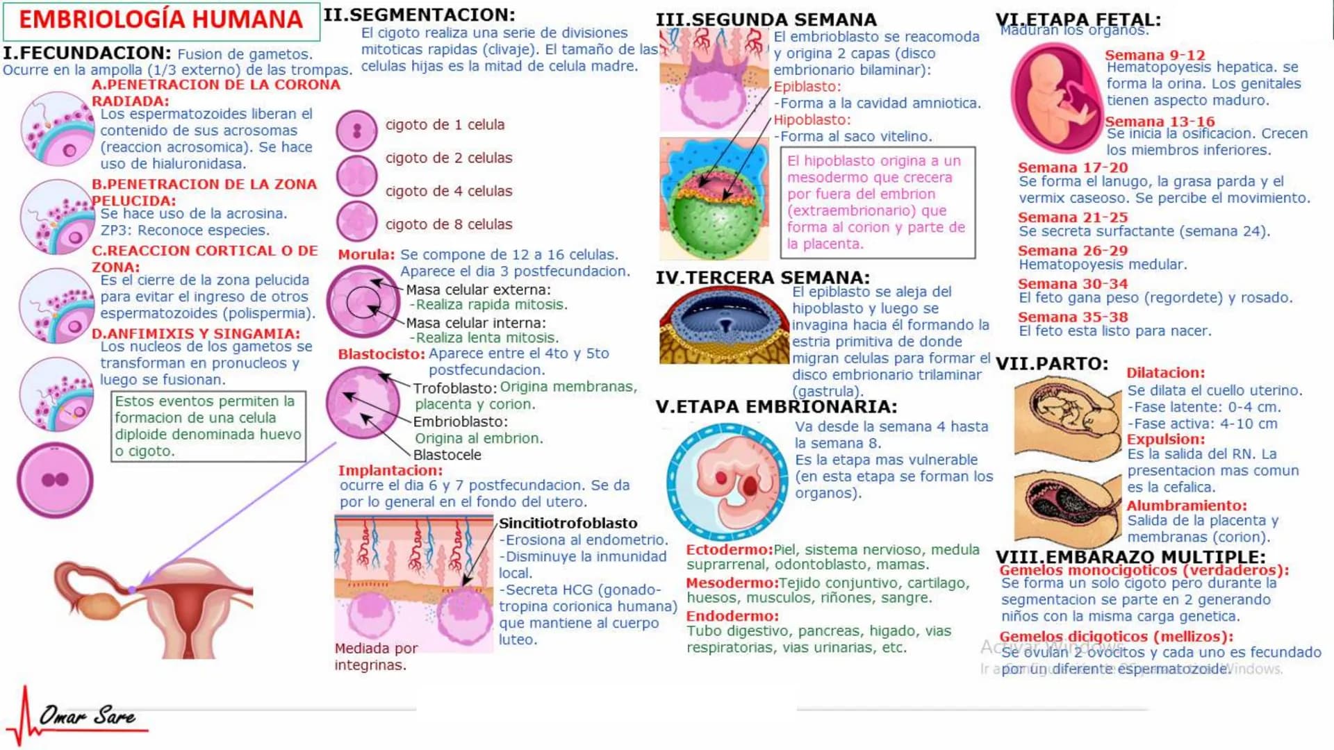 INTRODUCCIÓN A LA HISTOLOGÍA
I. DEFINICION DE HISTOLOGIA:
Etimologicamente deriva de histo (tejido) y
logos (tratado o estudio).
Es la cienc