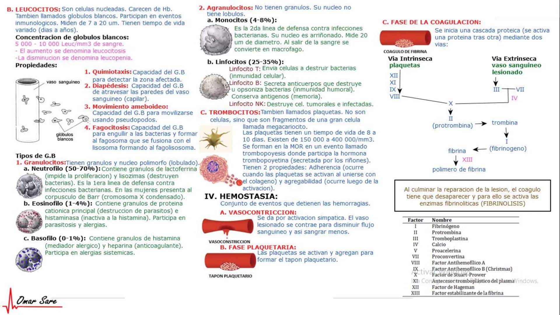 INTRODUCCIÓN A LA HISTOLOGÍA
I. DEFINICION DE HISTOLOGIA:
Etimologicamente deriva de histo (tejido) y
logos (tratado o estudio).
Es la cienc