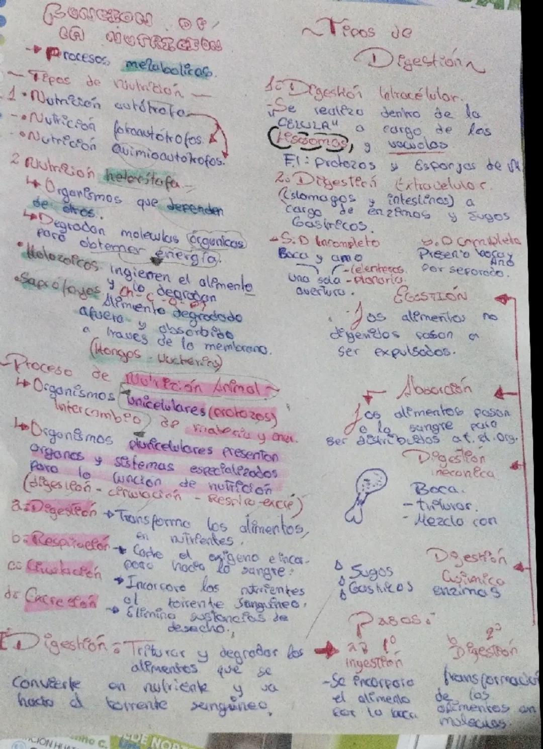 RONHON O/
CA NUTRICAL OSS
-Procesos, melabolicas.
Tepas de ruumición
1. Notneión autótrofo
-Nutrición foroautótrofes.
•Nutrición Quimioautot