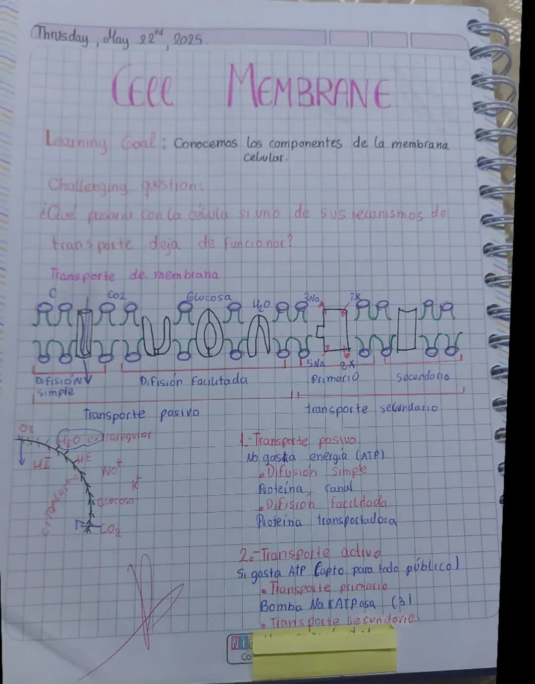 Thursday, May 22<sup>nd</sup>, 2025

# CEL MEMBRANE

Learning Goal: Conocemos los componentes de la membrana
celular.

Challenging question: