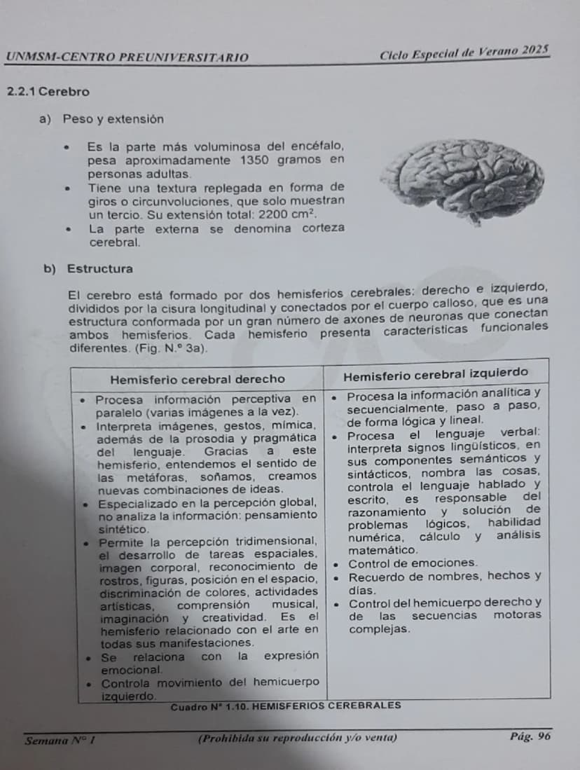--- OCR Start ---
UNMSM-CENTRO PREUNIVERSITARIO
1. ORÍGENES DE LA PSICOLOGÍA
LA PSICOLOGÍA
COMO CIENCIA
Antecedentes
Escuelas
Clásicas
Arist