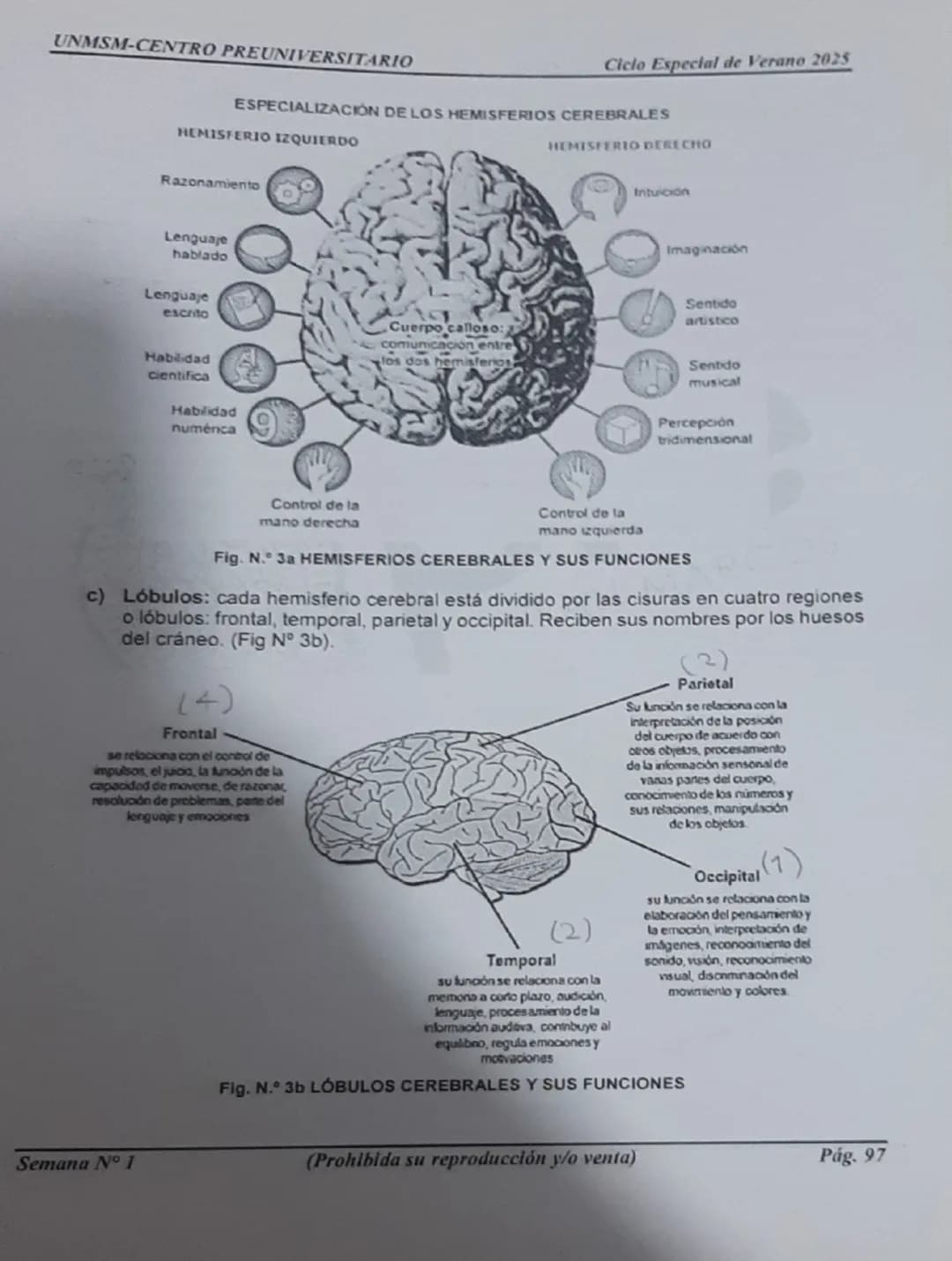 --- OCR Start ---
UNMSM-CENTRO PREUNIVERSITARIO
1. ORÍGENES DE LA PSICOLOGÍA
LA PSICOLOGÍA
COMO CIENCIA
Antecedentes
Escuelas
Clásicas
Arist