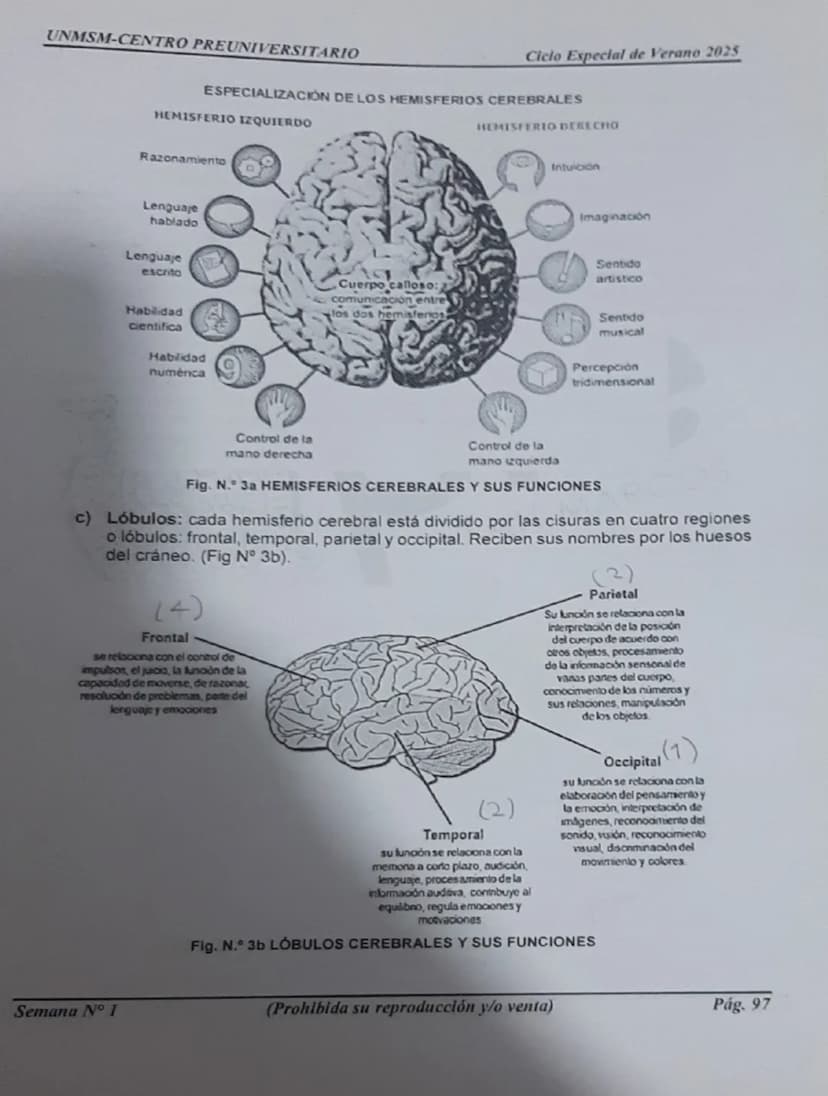 --- OCR Start ---
UNMSM-CENTRO PREUNIVERSITARIO
1. ORÍGENES DE LA PSICOLOGÍA
LA PSICOLOGÍA
COMO CIENCIA
Antecedentes
Escuelas
Clásicas
Arist