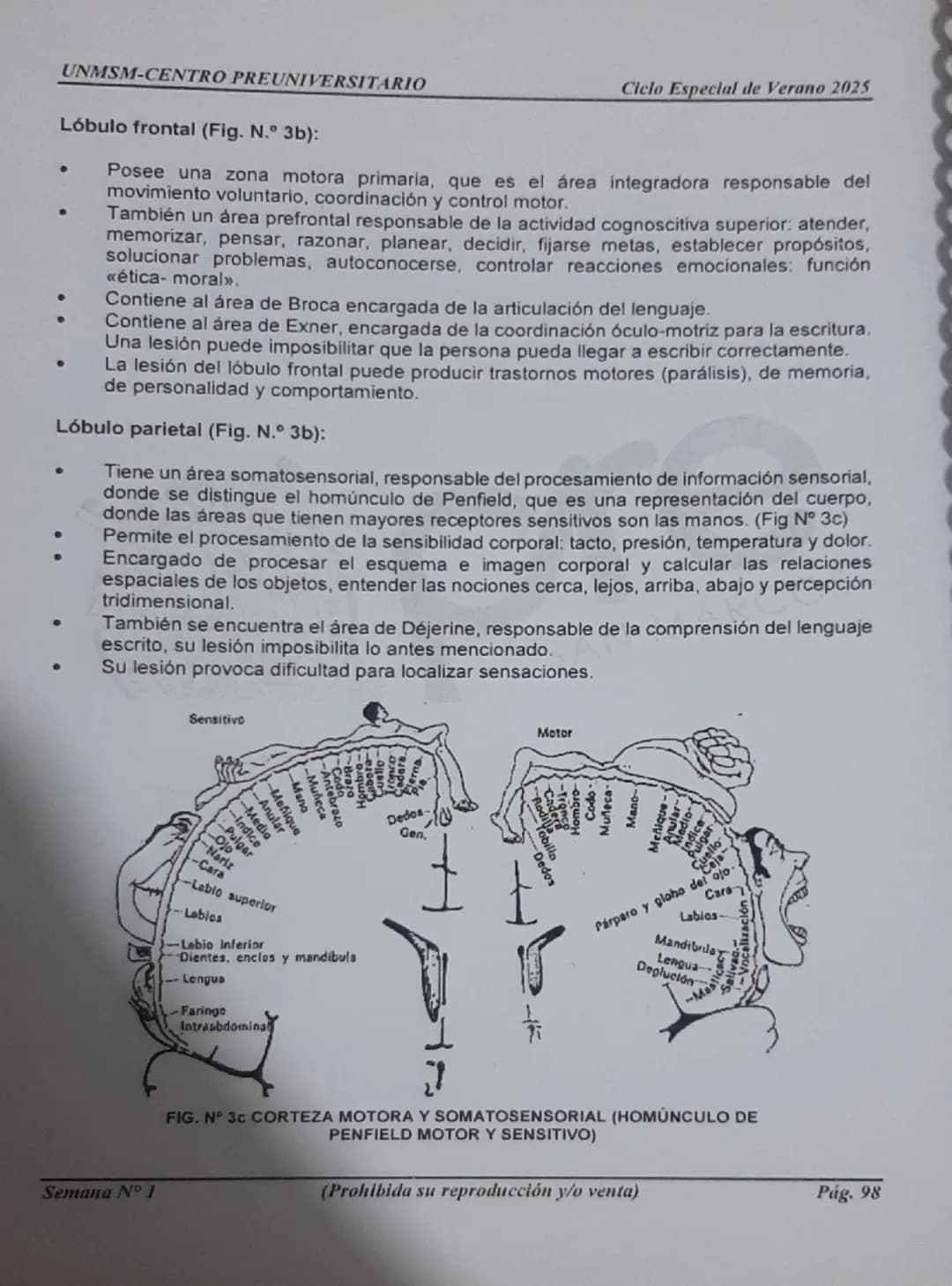 --- OCR Start ---
UNMSM-CENTRO PREUNIVERSITARIO
1. ORÍGENES DE LA PSICOLOGÍA
LA PSICOLOGÍA
COMO CIENCIA
Antecedentes
Escuelas
Clásicas
Arist