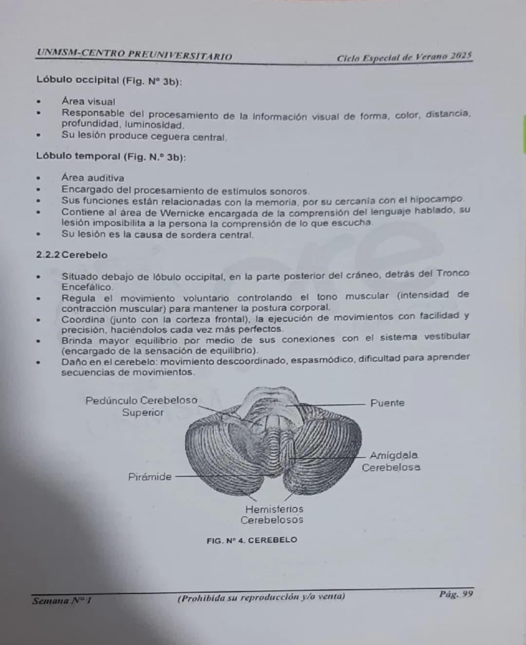 --- OCR Start ---
UNMSM-CENTRO PREUNIVERSITARIO
1. ORÍGENES DE LA PSICOLOGÍA
LA PSICOLOGÍA
COMO CIENCIA
Antecedentes
Escuelas
Clásicas
Arist