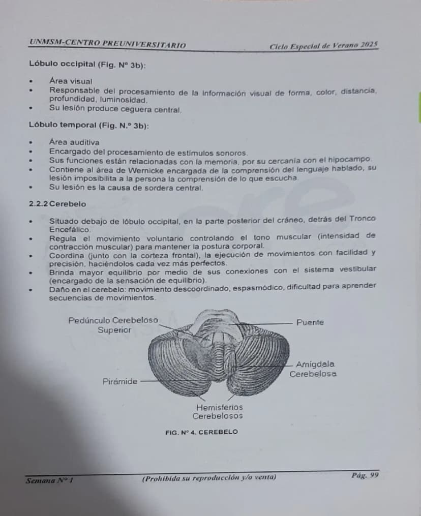 --- OCR Start ---
UNMSM-CENTRO PREUNIVERSITARIO
1. ORÍGENES DE LA PSICOLOGÍA
LA PSICOLOGÍA
COMO CIENCIA
Antecedentes
Escuelas
Clásicas
Arist