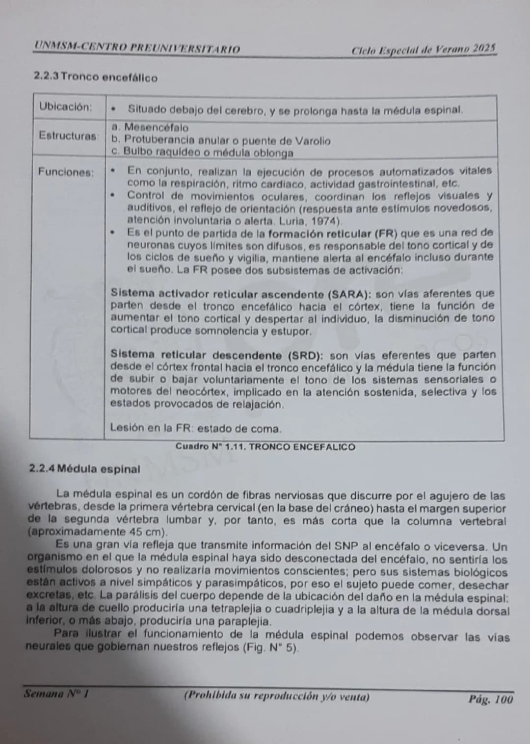 --- OCR Start ---
UNMSM-CENTRO PREUNIVERSITARIO
1. ORÍGENES DE LA PSICOLOGÍA
LA PSICOLOGÍA
COMO CIENCIA
Antecedentes
Escuelas
Clásicas
Arist