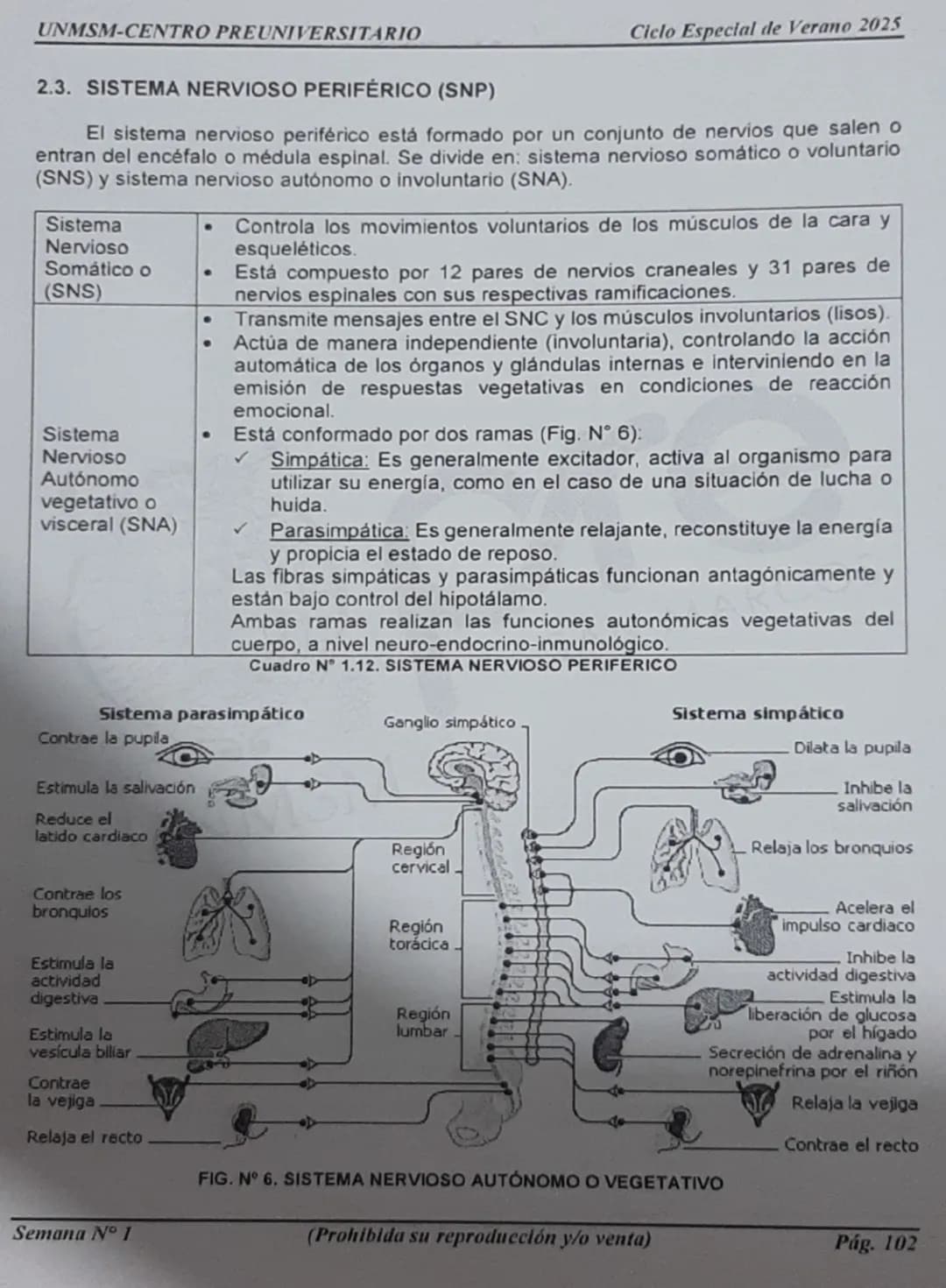 --- OCR Start ---
UNMSM-CENTRO PREUNIVERSITARIO
1. ORÍGENES DE LA PSICOLOGÍA
LA PSICOLOGÍA
COMO CIENCIA
Antecedentes
Escuelas
Clásicas
Arist