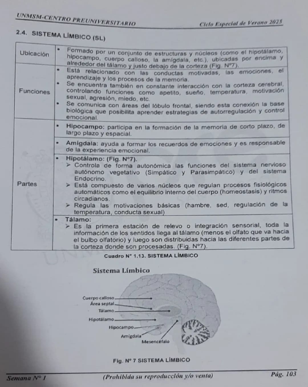--- OCR Start ---
UNMSM-CENTRO PREUNIVERSITARIO
1. ORÍGENES DE LA PSICOLOGÍA
LA PSICOLOGÍA
COMO CIENCIA
Antecedentes
Escuelas
Clásicas
Arist