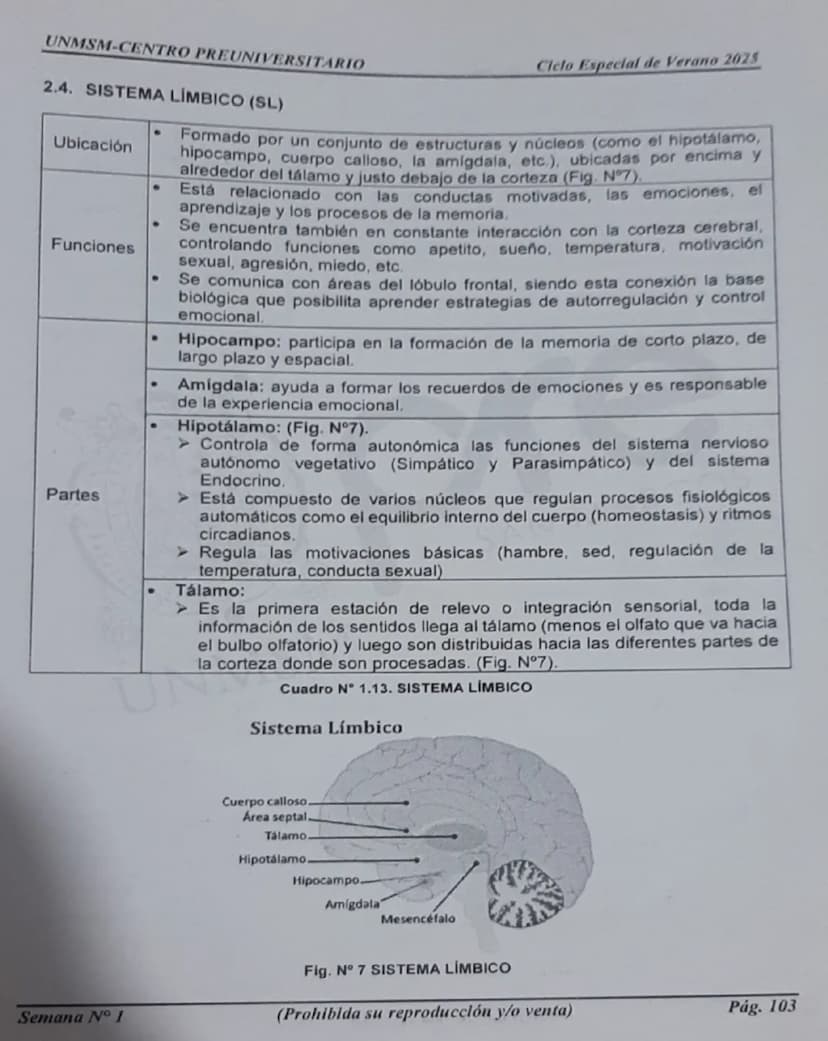 --- OCR Start ---
UNMSM-CENTRO PREUNIVERSITARIO
1. ORÍGENES DE LA PSICOLOGÍA
LA PSICOLOGÍA
COMO CIENCIA
Antecedentes
Escuelas
Clásicas
Arist