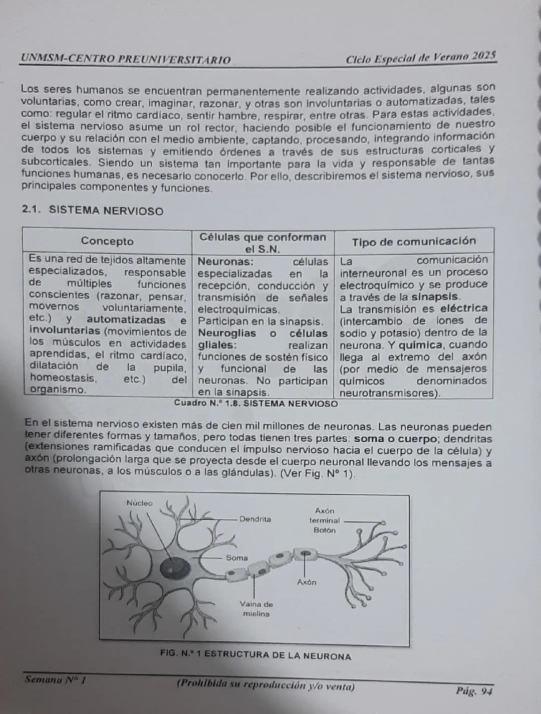 --- OCR Start ---
UNMSM-CENTRO PREUNIVERSITARIO
1. ORÍGENES DE LA PSICOLOGÍA
LA PSICOLOGÍA
COMO CIENCIA
Antecedentes
Escuelas
Clásicas
Arist