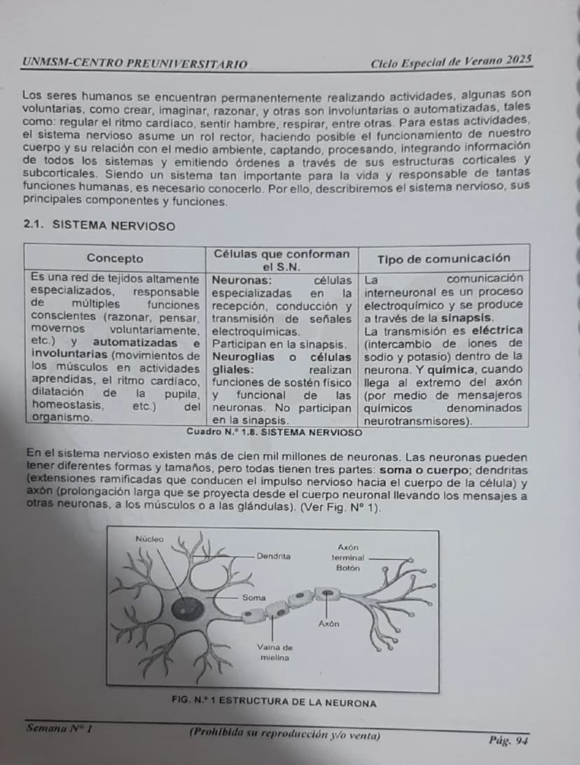 --- OCR Start ---
UNMSM-CENTRO PREUNIVERSITARIO
1. ORÍGENES DE LA PSICOLOGÍA
LA PSICOLOGÍA
COMO CIENCIA
Antecedentes
Escuelas
Clásicas
Arist