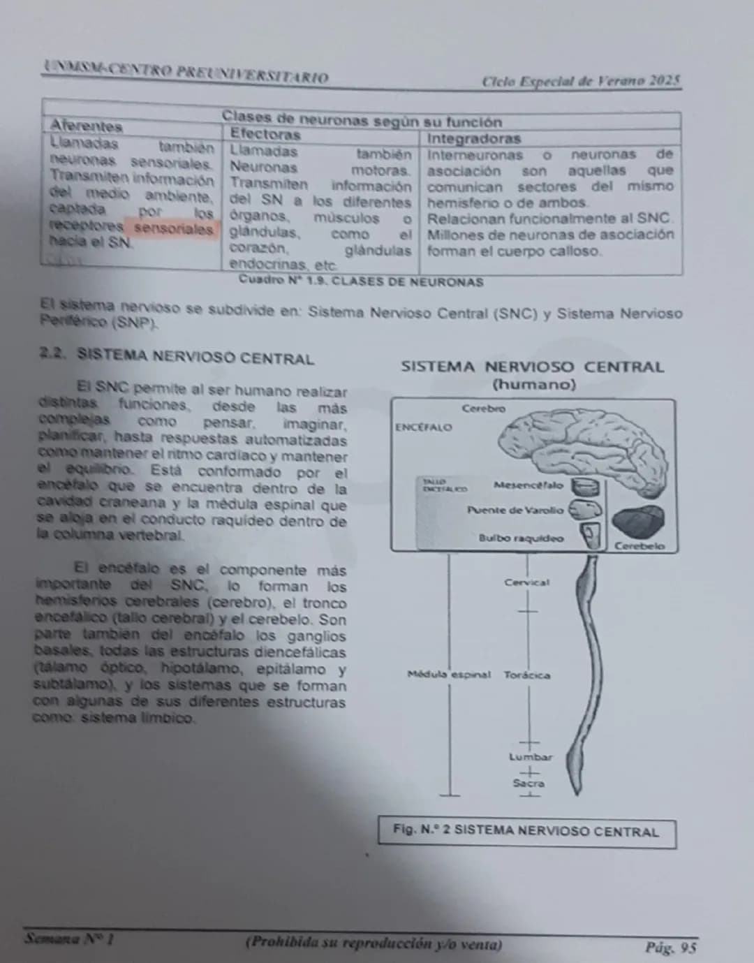 --- OCR Start ---
UNMSM-CENTRO PREUNIVERSITARIO
1. ORÍGENES DE LA PSICOLOGÍA
LA PSICOLOGÍA
COMO CIENCIA
Antecedentes
Escuelas
Clásicas
Arist