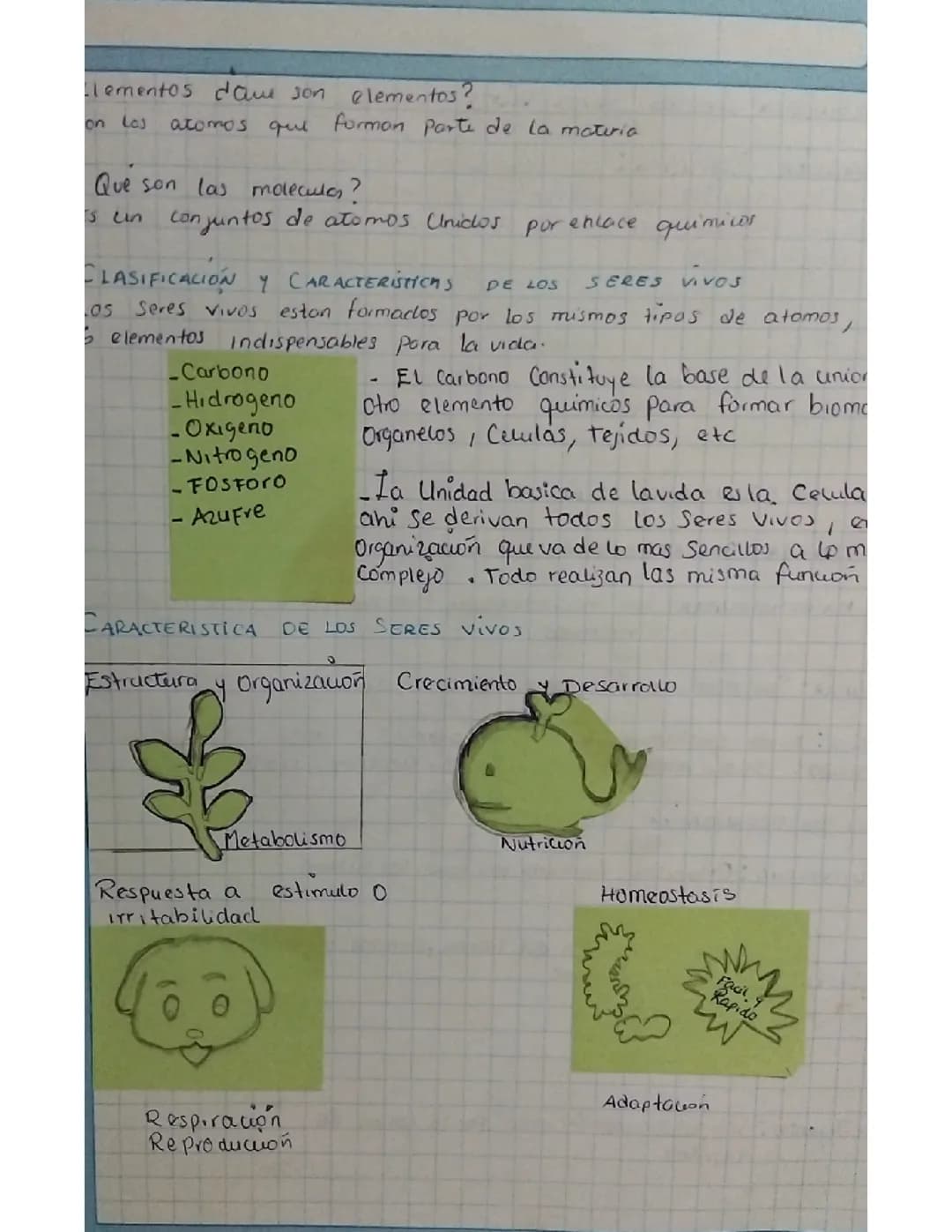 Sistemas de inmunes 