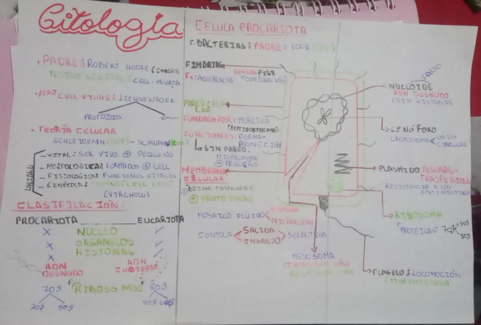 # Citología

# Célula Procariota
- Bacterias: Padre Koch
Fimbria:
- Fx:Adherencia
Sexual Pilli:
- Conjugación
Pared Celular:
Fundado por: Mu