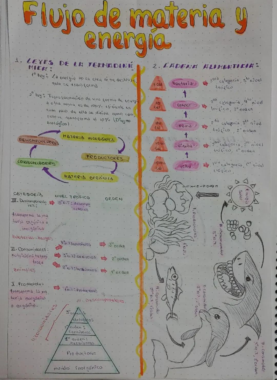 --- OCR Start ---
Solar
Energid
Flujo de materia y
energia
1. LEYES DE LA TERMADINA
NIER:
10 ky La energía no se çred ni se destroye
solo se