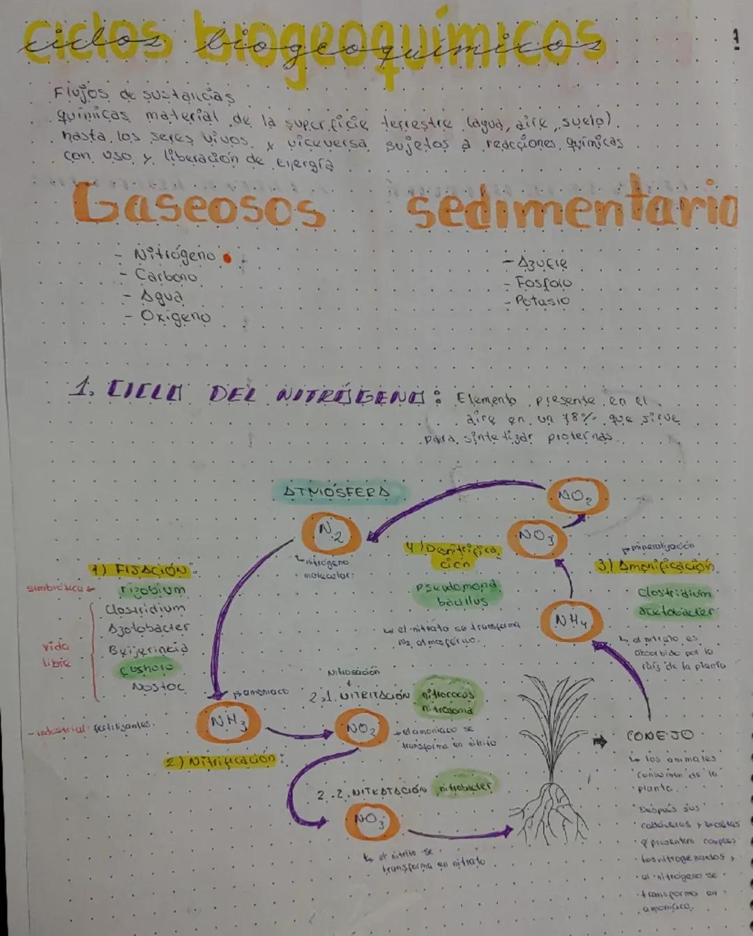 --- OCR Start ---
Solar
Energid
Flujo de materia y
energia
1. LEYES DE LA TERMADINA
NIER:
10 ky La energía no se çred ni se destroye
solo se