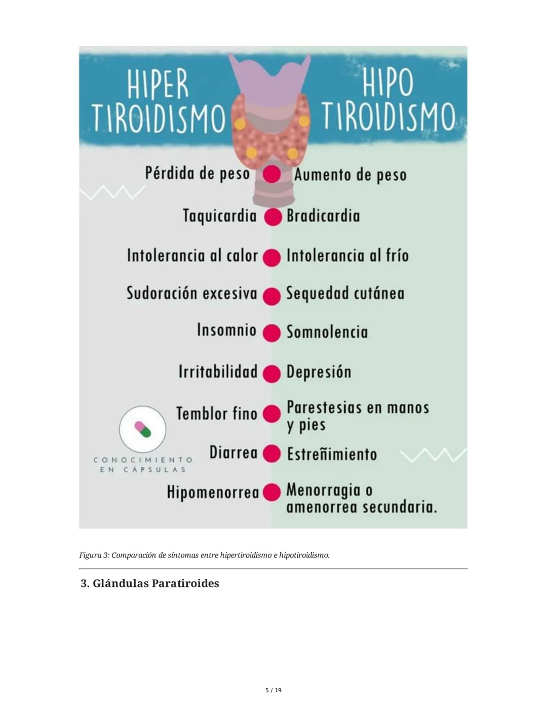 Sistema Endocrino: Anatomía y Fisiología
1. Introducción al Sistema Endocrino
El sistema endocrino está compuesto por glándulas que secretan