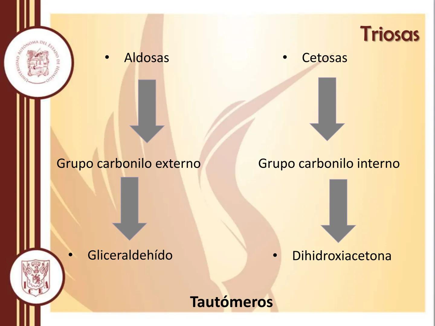 AUTONOMA DEL ESTADO
모
NIVERSIDAD
HIDA
ODTY

UNIVERSIDAD AUTÓNOMA DEL
ESTADO DE HIDALGO

Instituto de Ciencias Económico
Administrativas - Ár