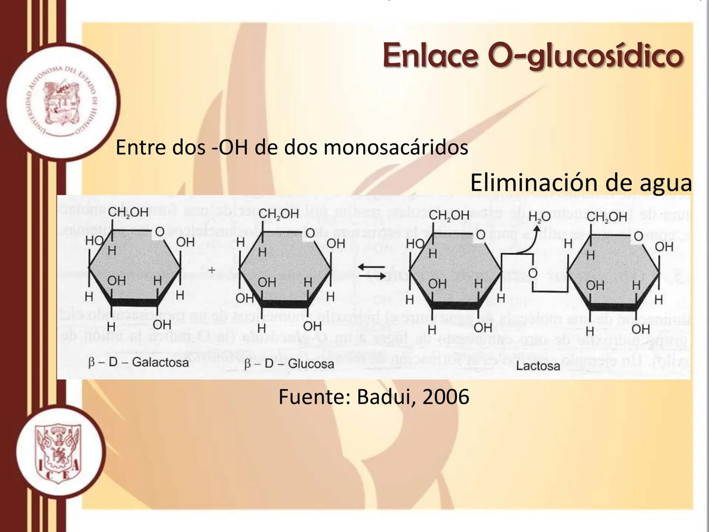 AUTONOMA DEL ESTADO
모
NIVERSIDAD
HIDA
ODTY

UNIVERSIDAD AUTÓNOMA DEL
ESTADO DE HIDALGO

Instituto de Ciencias Económico
Administrativas - Ár