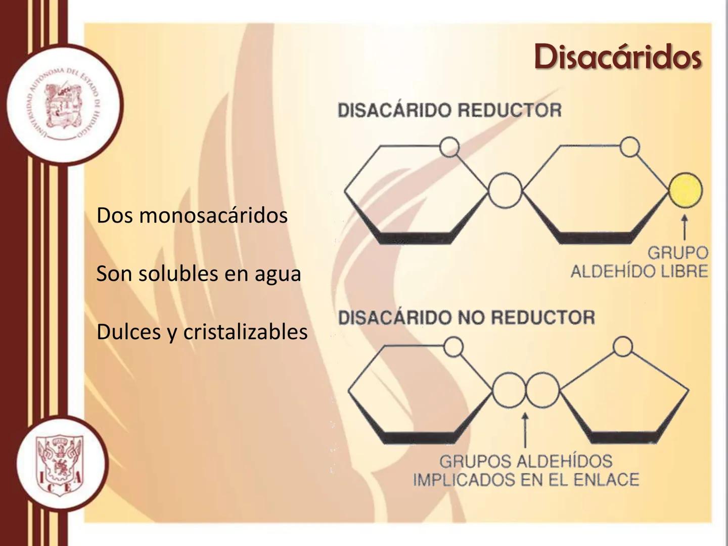 AUTONOMA DEL ESTADO
모
NIVERSIDAD
HIDA
ODTY

UNIVERSIDAD AUTÓNOMA DEL
ESTADO DE HIDALGO

Instituto de Ciencias Económico
Administrativas - Ár
