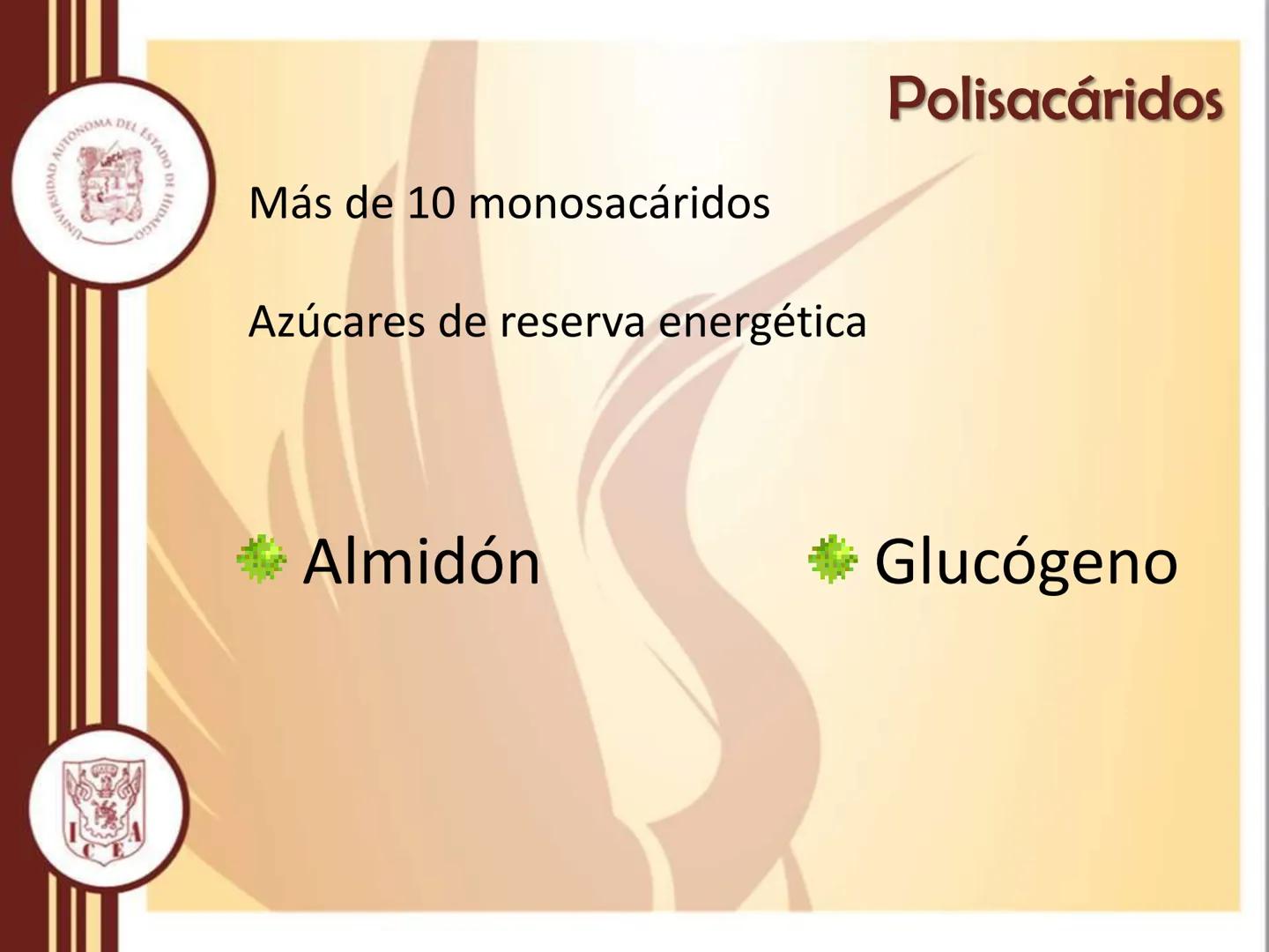AUTONOMA DEL ESTADO
모
NIVERSIDAD
HIDA
ODTY

UNIVERSIDAD AUTÓNOMA DEL
ESTADO DE HIDALGO

Instituto de Ciencias Económico
Administrativas - Ár