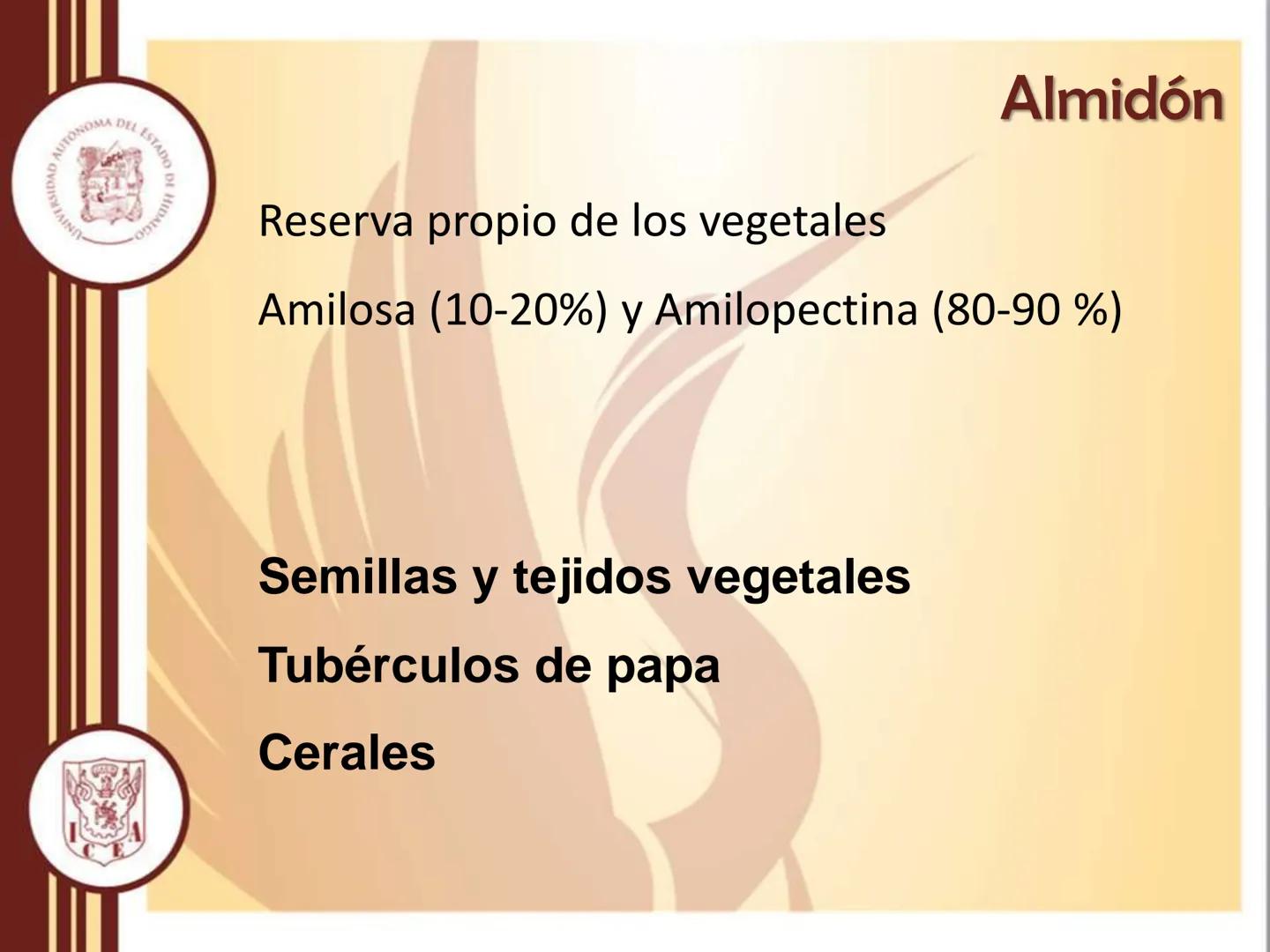 AUTONOMA DEL ESTADO
모
NIVERSIDAD
HIDA
ODTY

UNIVERSIDAD AUTÓNOMA DEL
ESTADO DE HIDALGO

Instituto de Ciencias Económico
Administrativas - Ár