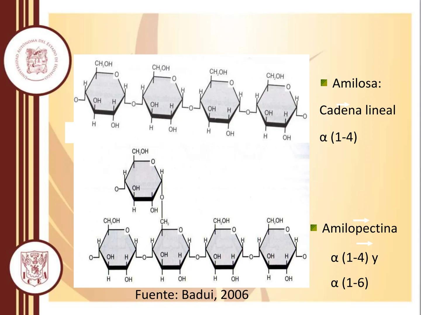 AUTONOMA DEL ESTADO
모
NIVERSIDAD
HIDA
ODTY

UNIVERSIDAD AUTÓNOMA DEL
ESTADO DE HIDALGO

Instituto de Ciencias Económico
Administrativas - Ár