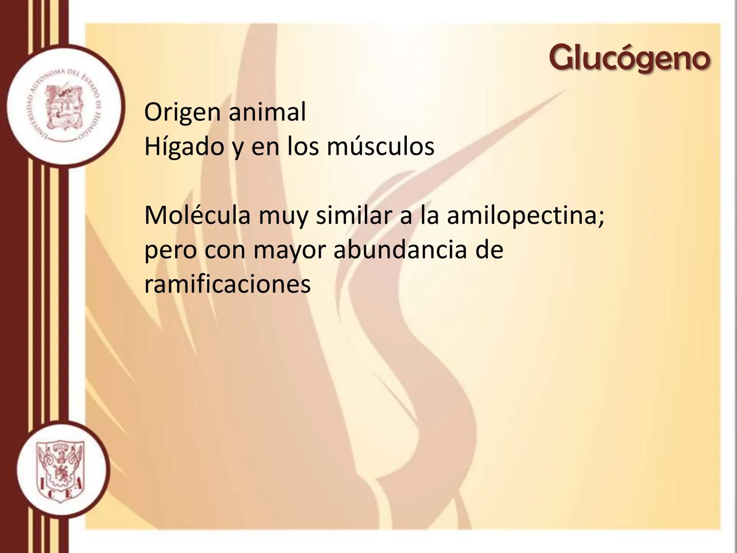 AUTONOMA DEL ESTADO
모
NIVERSIDAD
HIDA
ODTY

UNIVERSIDAD AUTÓNOMA DEL
ESTADO DE HIDALGO

Instituto de Ciencias Económico
Administrativas - Ár