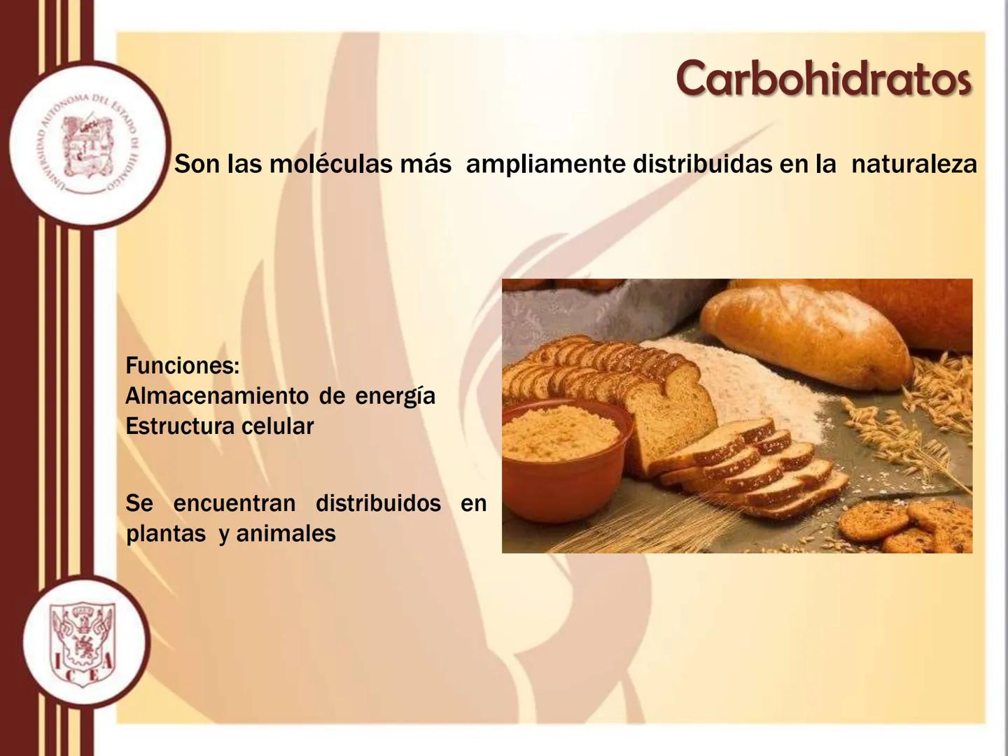 AUTONOMA DEL ESTADO
모
NIVERSIDAD
HIDA
ODTY

UNIVERSIDAD AUTÓNOMA DEL
ESTADO DE HIDALGO

Instituto de Ciencias Económico
Administrativas - Ár