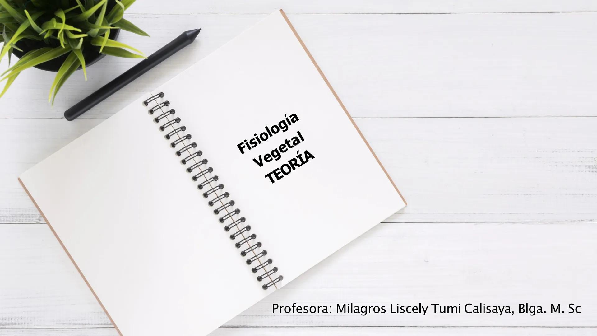 # Fisiología
## Vegetal
### TEORÍA

Profesora: Milagros Liscely Tumi Calisaya, Blga. M. Sc Contenido:
- Información general del curso
- (hor