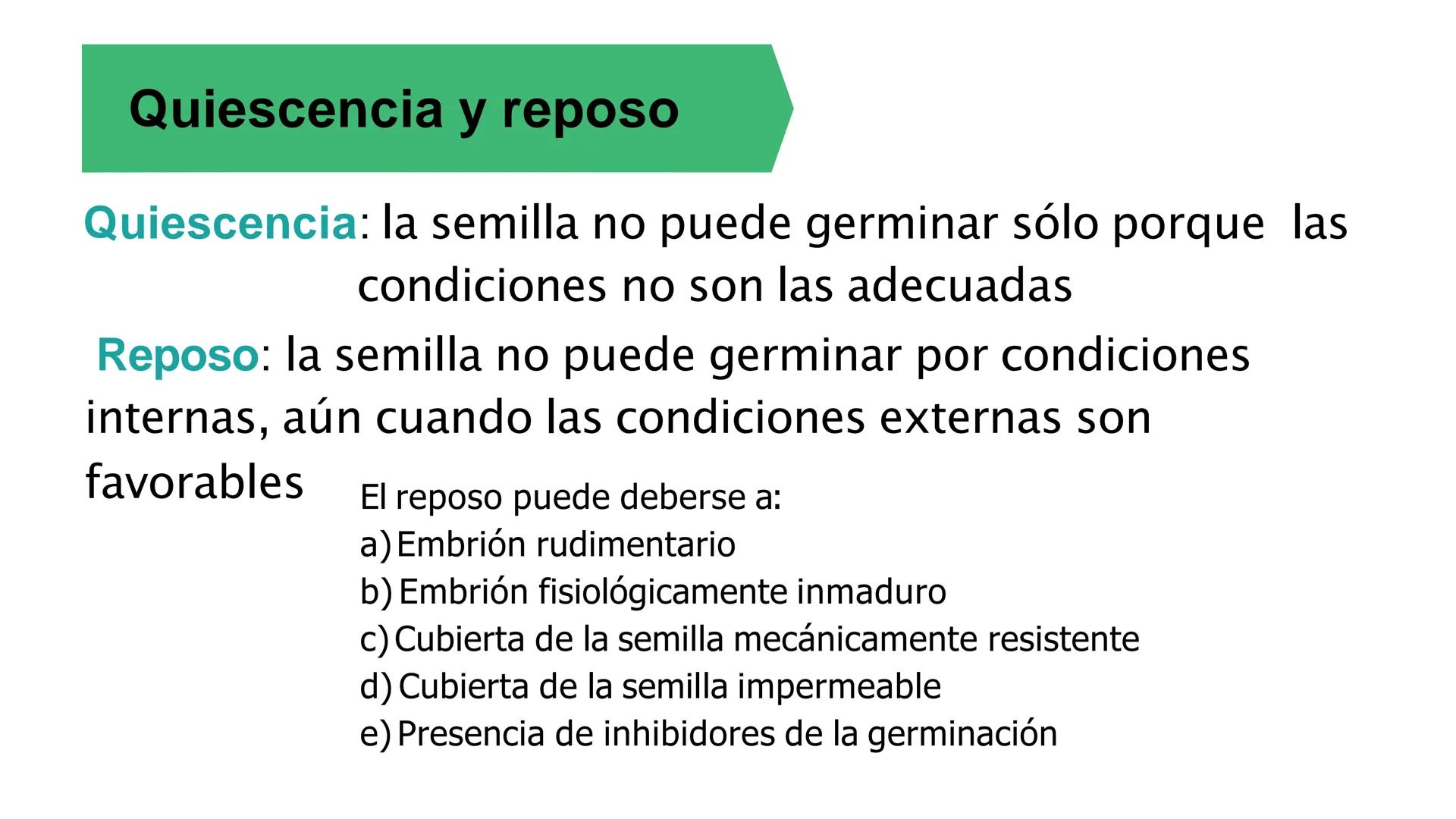 # Fisiología
## Vegetal
### TEORÍA

Profesora: Milagros Liscely Tumi Calisaya, Blga. M. Sc Contenido:
- Información general del curso
- (hor