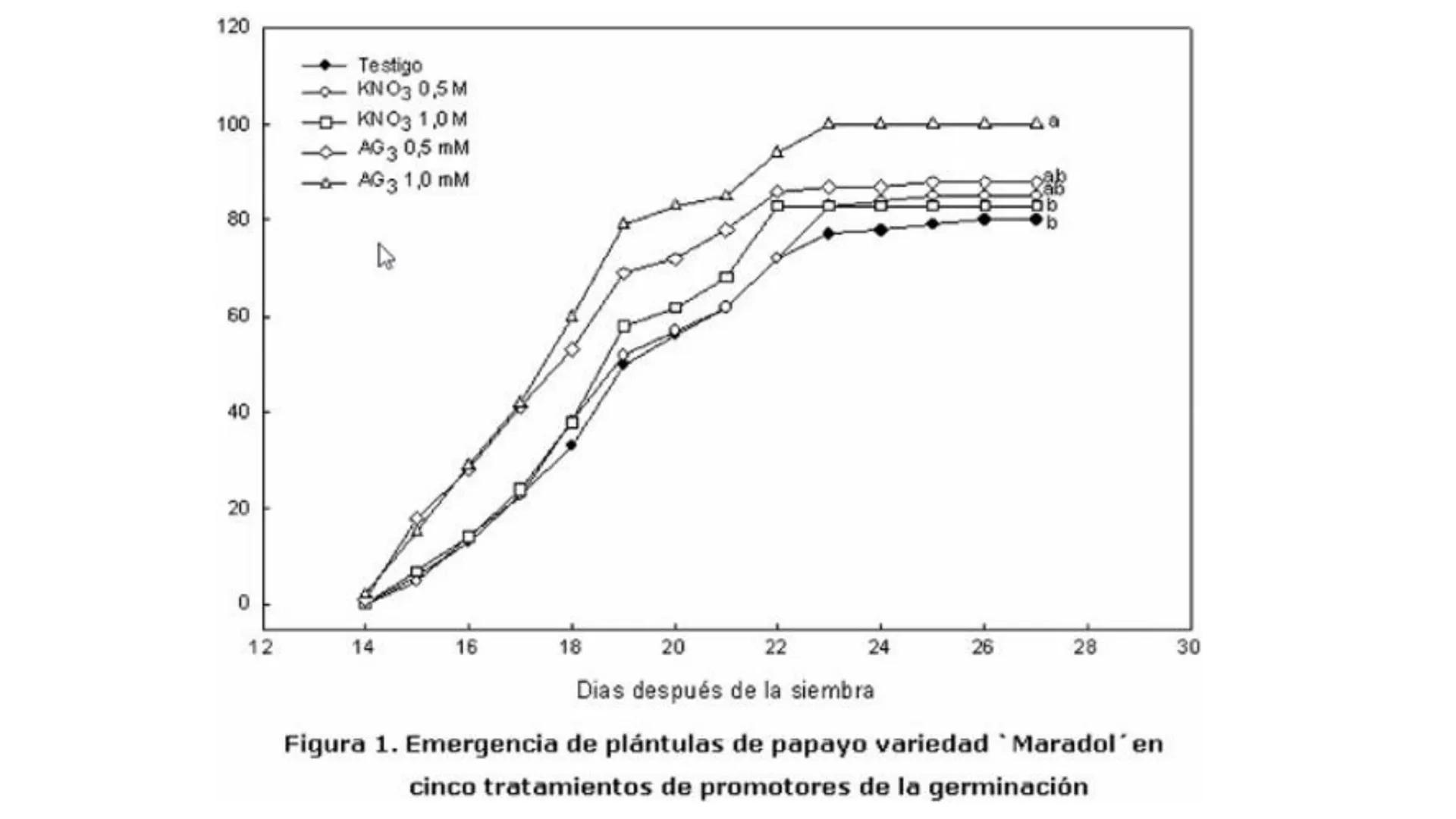 # Fisiología
## Vegetal
### TEORÍA

Profesora: Milagros Liscely Tumi Calisaya, Blga. M. Sc Contenido:
- Información general del curso
- (hor