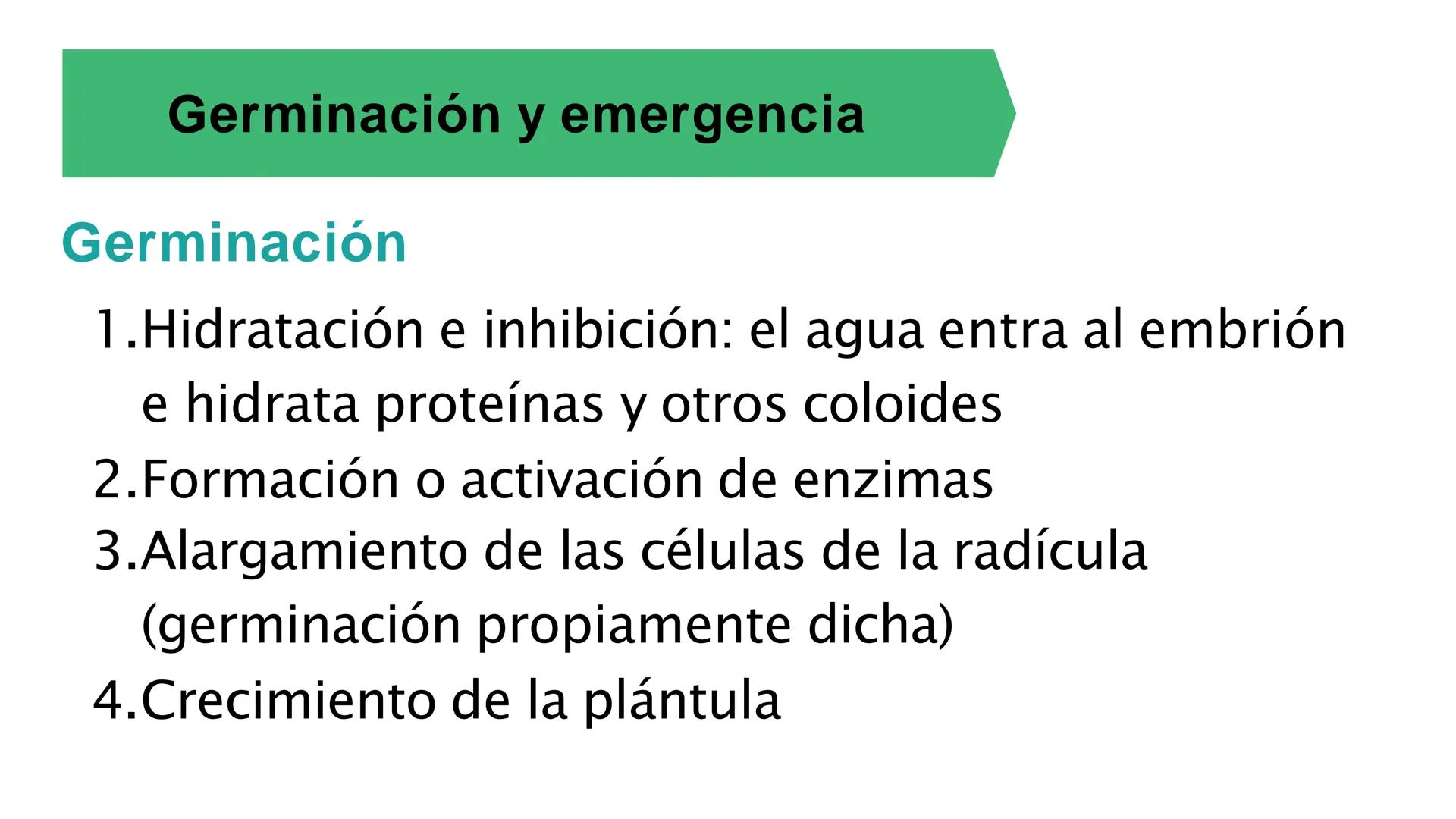 # Fisiología
## Vegetal
### TEORÍA

Profesora: Milagros Liscely Tumi Calisaya, Blga. M. Sc Contenido:
- Información general del curso
- (hor