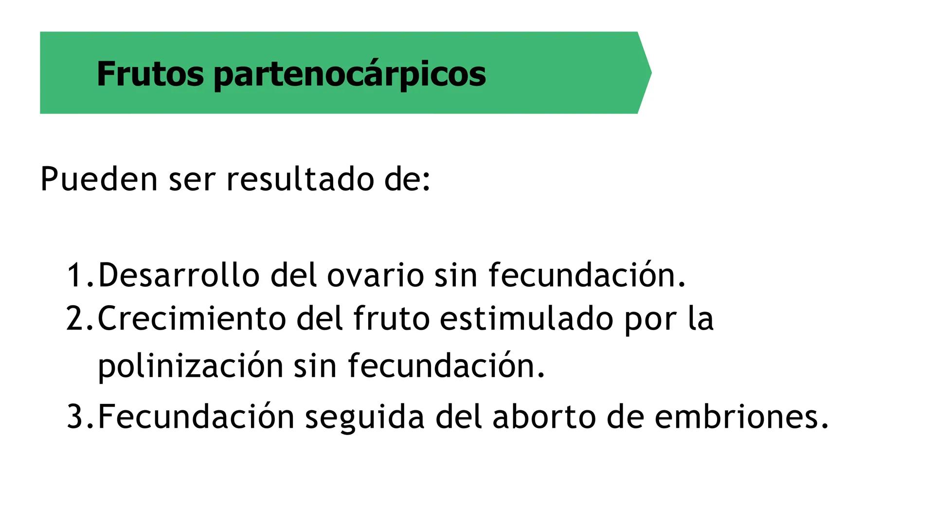 # Fisiología
## Vegetal
### TEORÍA

Profesora: Milagros Liscely Tumi Calisaya, Blga. M. Sc Contenido:
- Información general del curso
- (hor