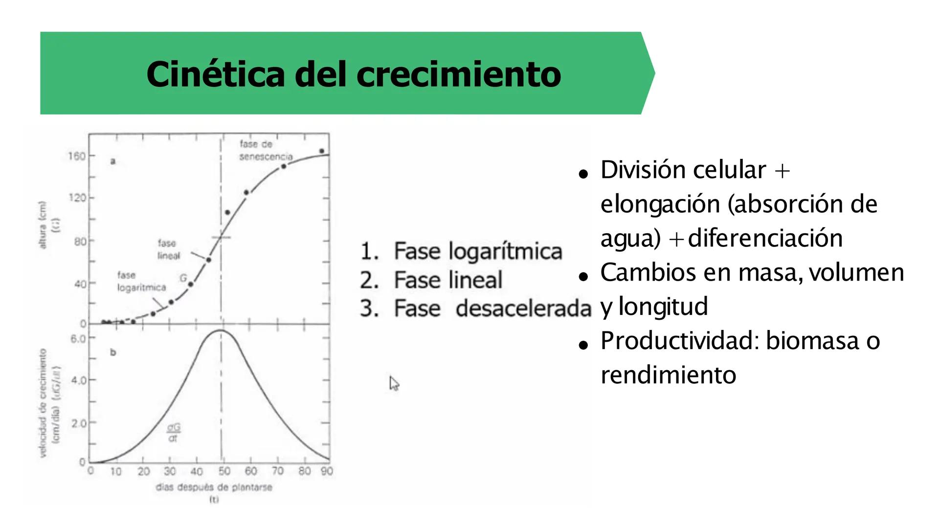 # Fisiología
## Vegetal
### TEORÍA

Profesora: Milagros Liscely Tumi Calisaya, Blga. M. Sc Contenido:
- Información general del curso
- (hor