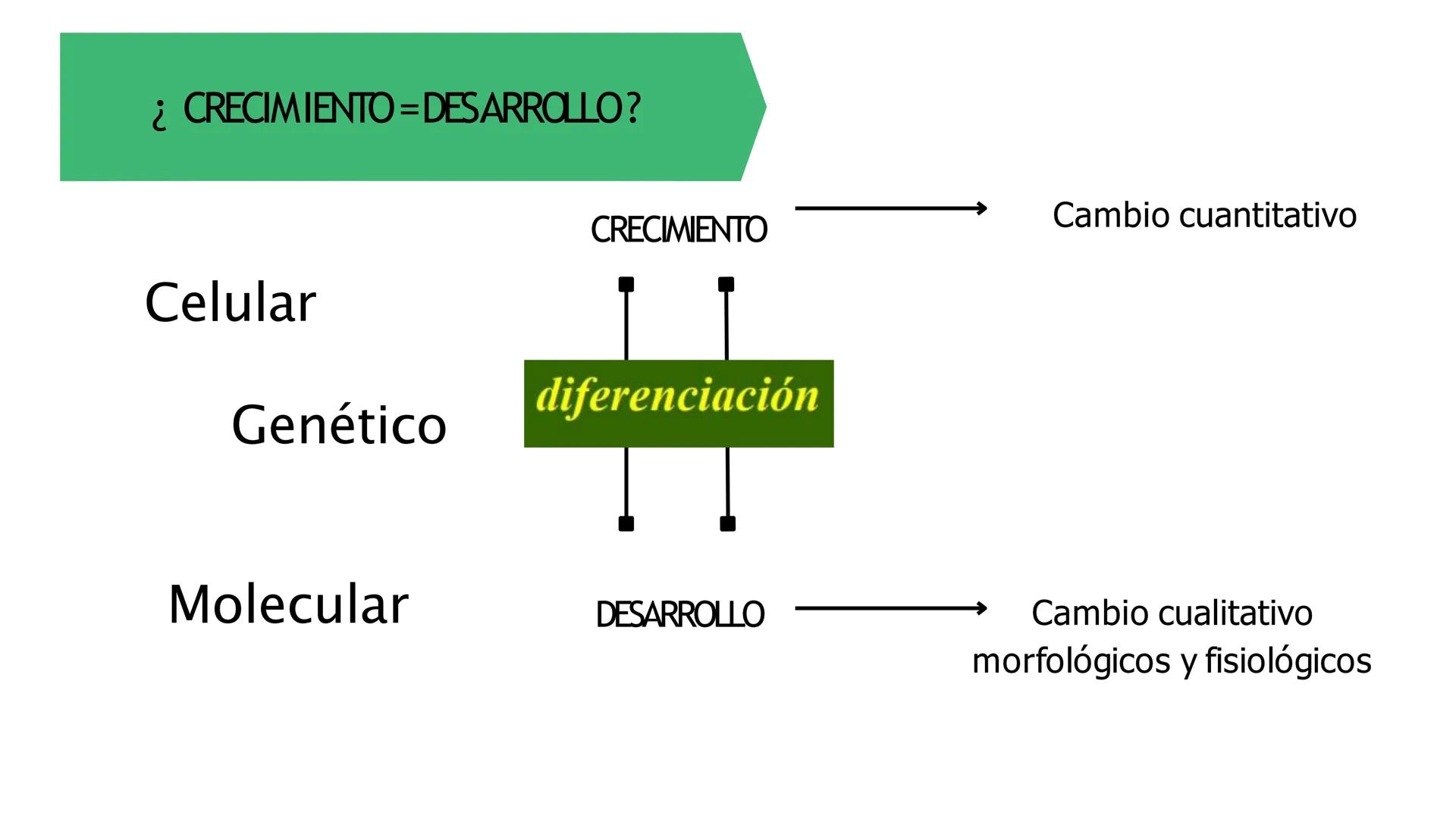 # Fisiología
## Vegetal
### TEORÍA

Profesora: Milagros Liscely Tumi Calisaya, Blga. M. Sc Contenido:
- Información general del curso
- (hor