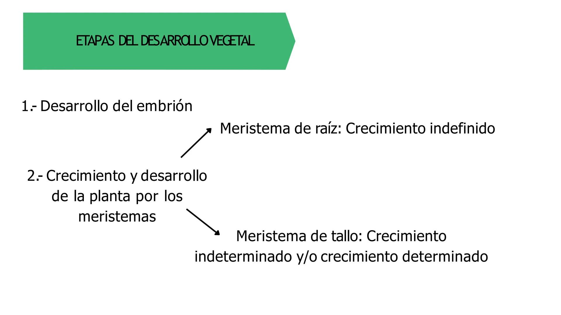 # Fisiología
## Vegetal
### TEORÍA

Profesora: Milagros Liscely Tumi Calisaya, Blga. M. Sc Contenido:
- Información general del curso
- (hor