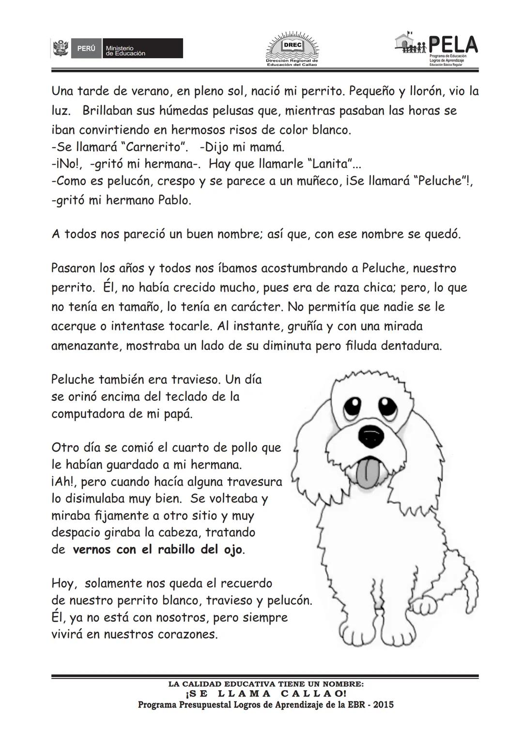 PERÚ Ministerio
de Educación

DREC

PELA
Programa de Educación

PRUEBA REGIONAL DE PROCESO

COMPRENSIÓN LECTORA

2° Grado



NOMBRE DE LA IN