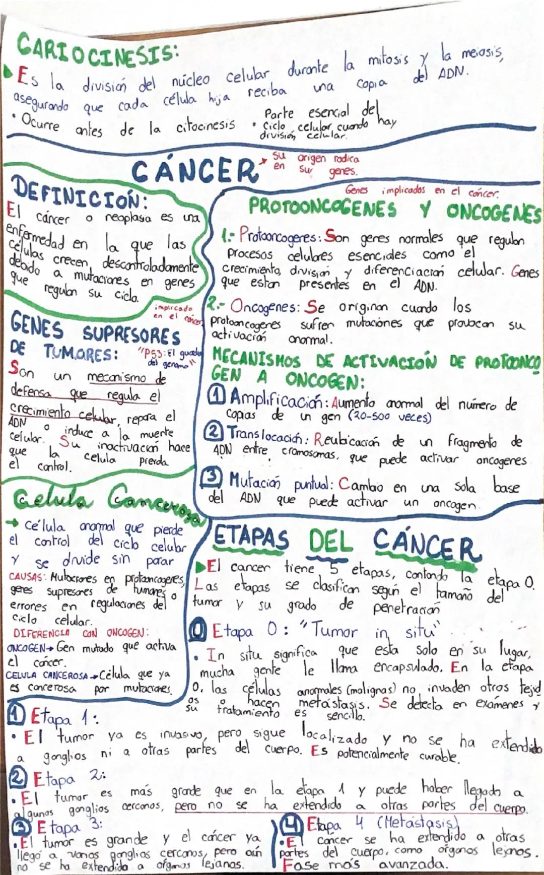 # Ciclo Celular ~ d'Qué es?
-ciclo vital
de una
celula
**OBJETIVOS DEL CICLO
CELULAR:** Regenera tejidos, importante para el crecimiento cel