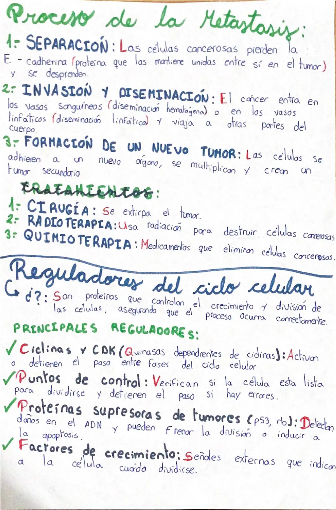 # Ciclo Celular ~ d'Qué es?
-ciclo vital
de una
celula
**OBJETIVOS DEL CICLO
CELULAR:** Regenera tejidos, importante para el crecimiento cel
