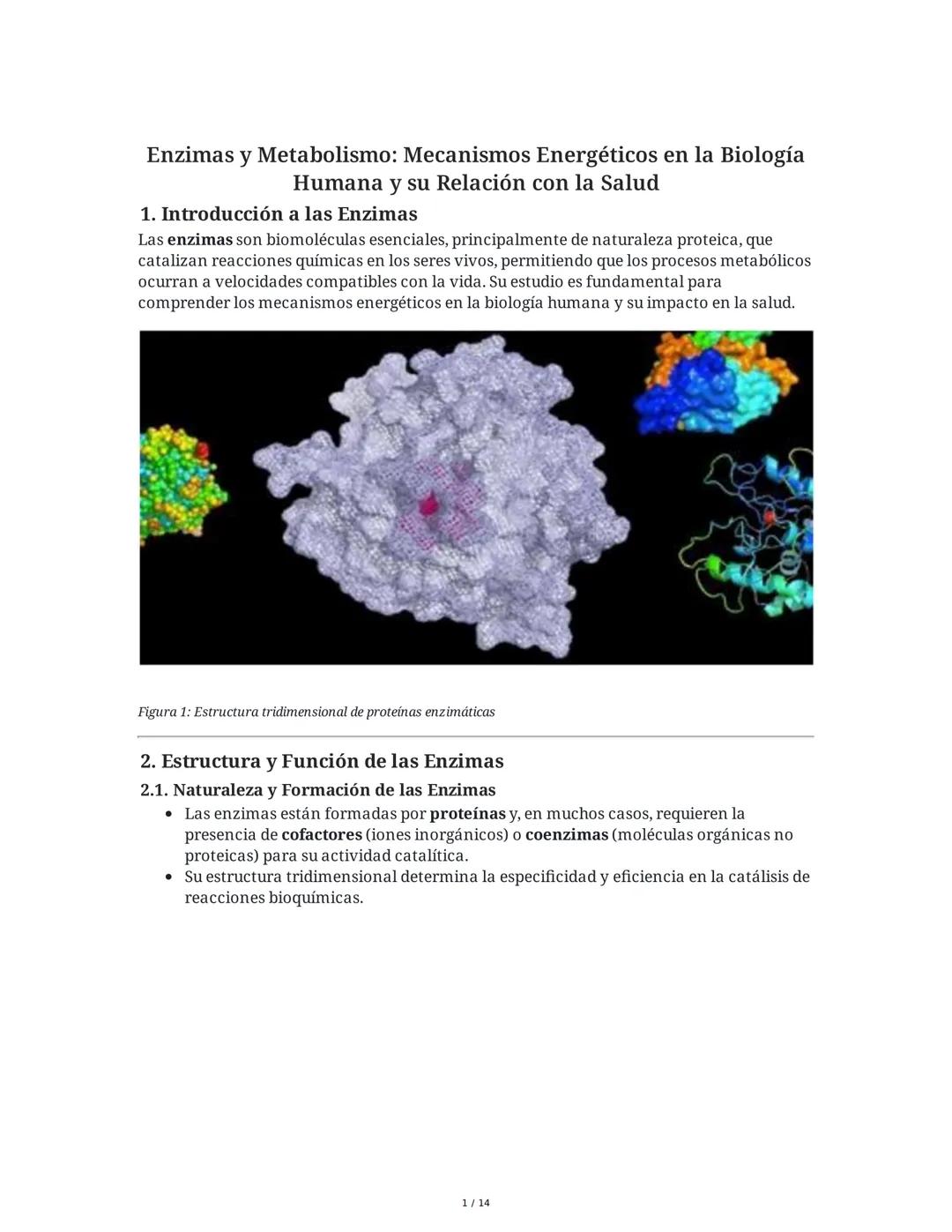 Enzimas y Metabolismo: Mecanismos Energéticos en la Biología
Humana y su Relación con la Salud
1. Introducción a las Enzimas
Las enzimas son