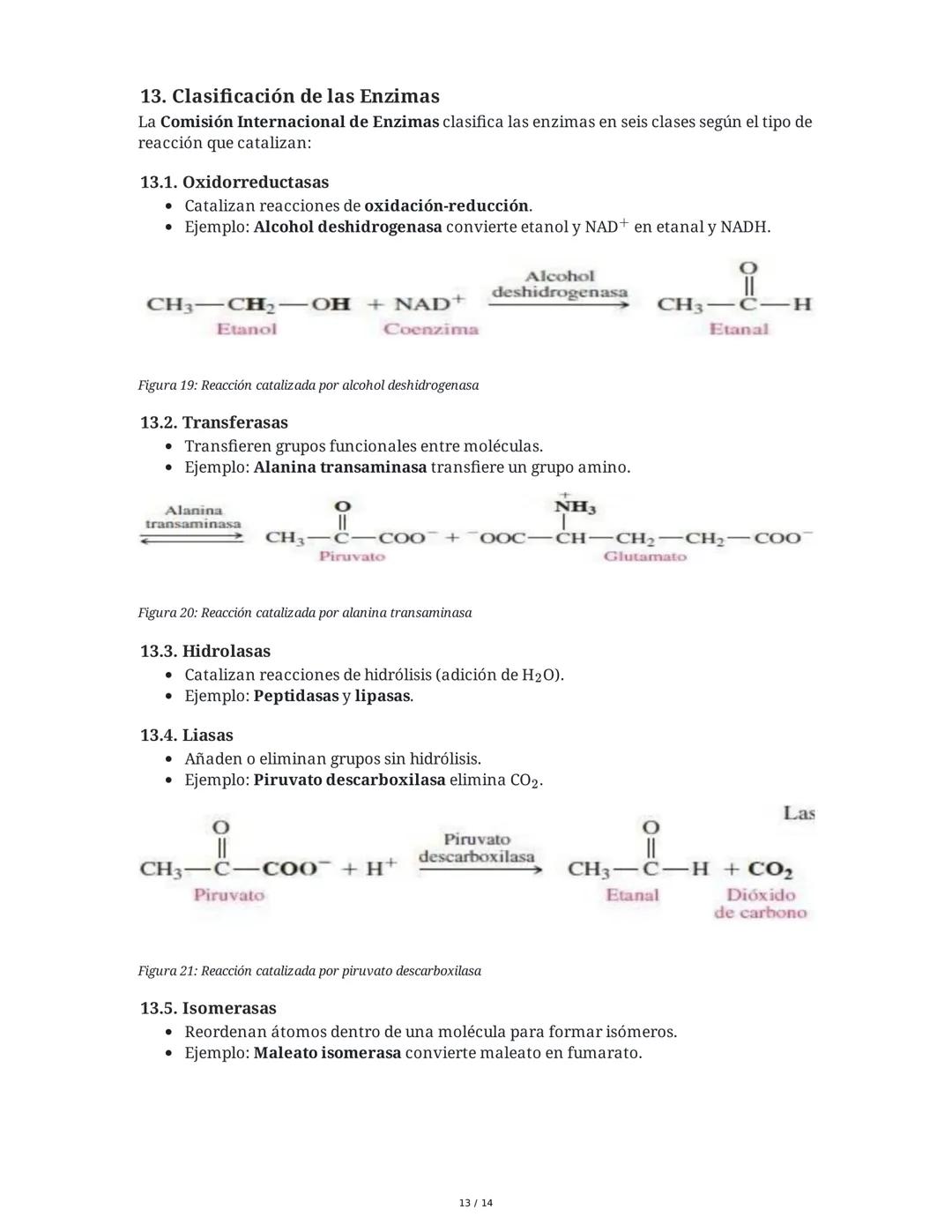 Enzimas y Metabolismo: Mecanismos Energéticos en la Biología
Humana y su Relación con la Salud
1. Introducción a las Enzimas
Las enzimas son