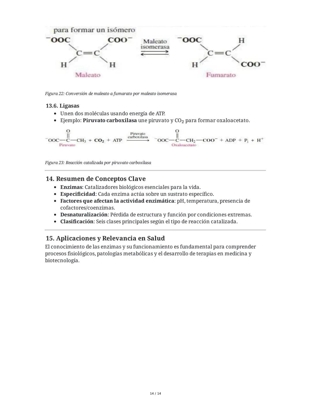 Enzimas y Metabolismo: Mecanismos Energéticos en la Biología
Humana y su Relación con la Salud
1. Introducción a las Enzimas
Las enzimas son