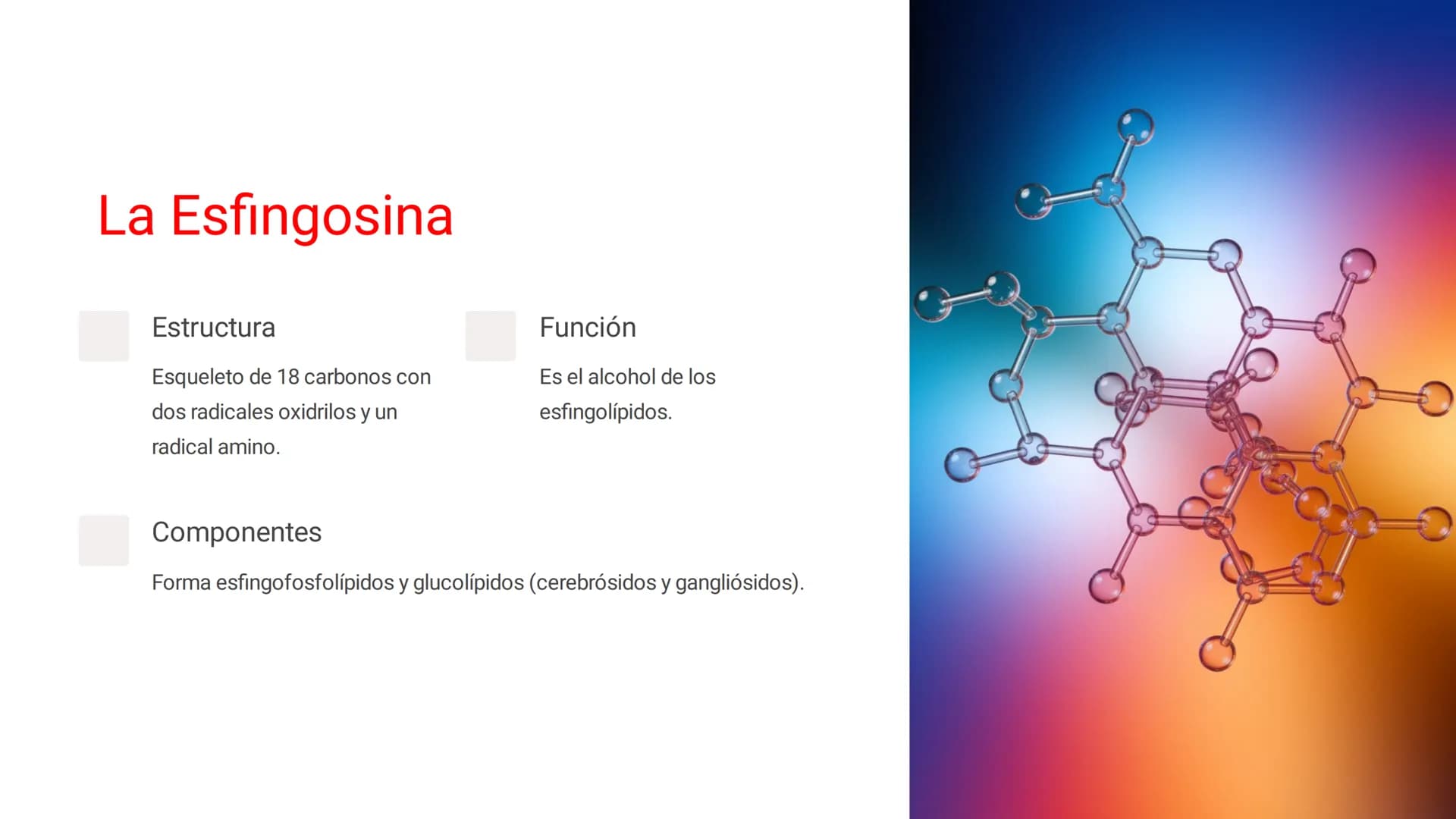 # LOS LÍPIDOS

glycoprotein
external membrane
surface
Plasma Membrane
carbohydrate
chain
Los lípidos son biomoléculas orgánicas
formadas por