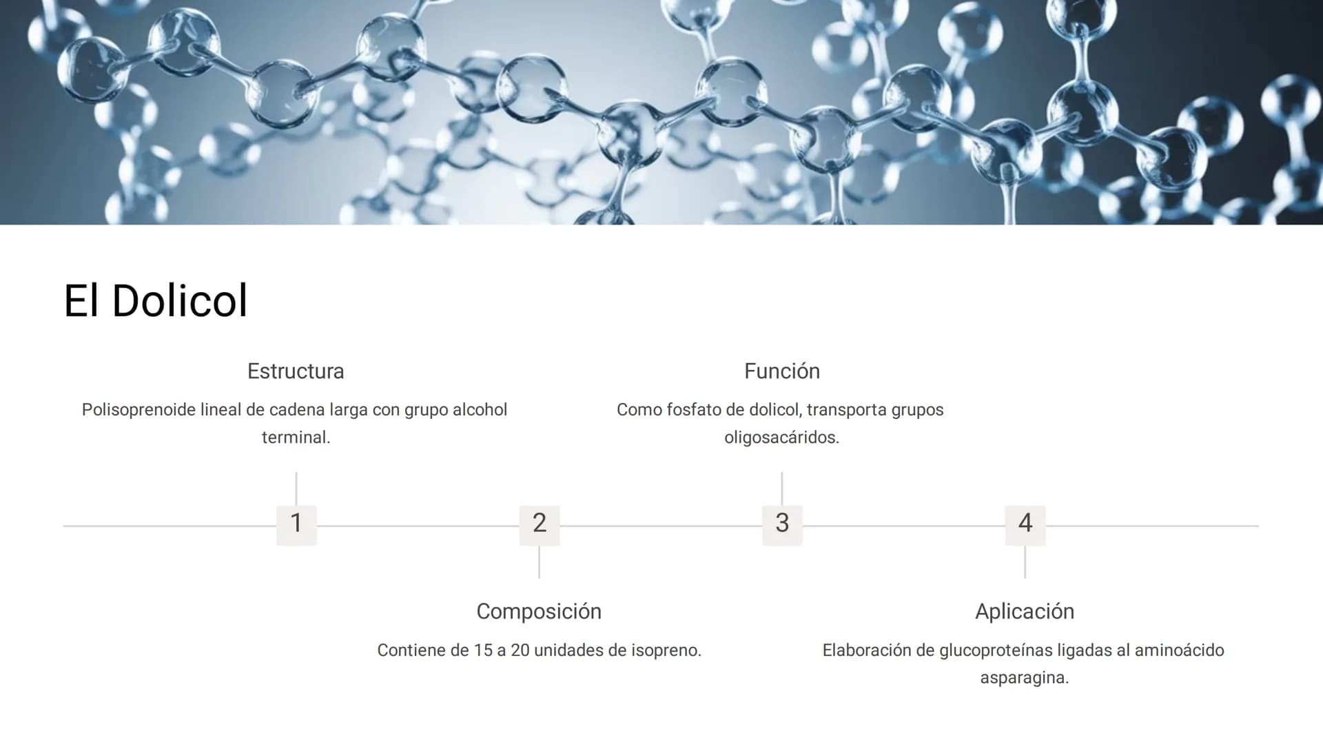# LOS LÍPIDOS

glycoprotein
external membrane
surface
Plasma Membrane
carbohydrate
chain
Los lípidos son biomoléculas orgánicas
formadas por