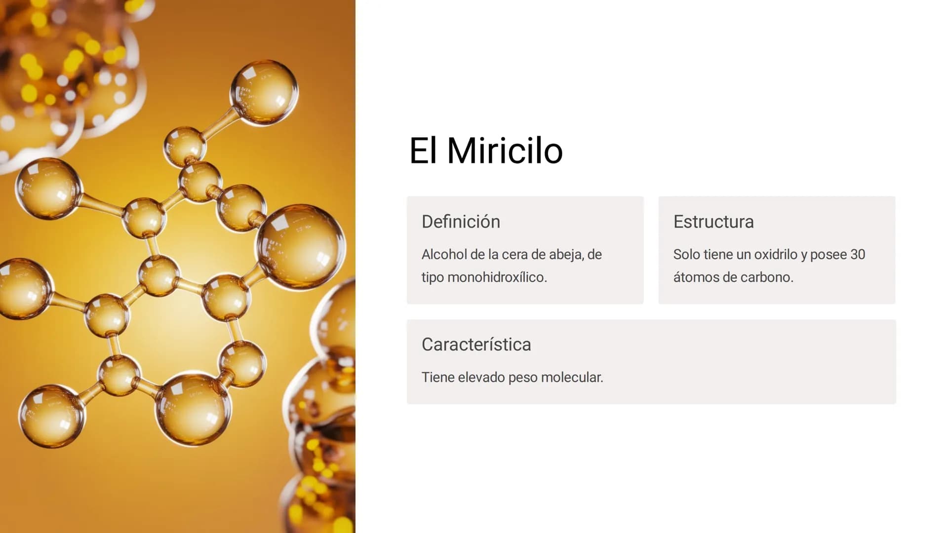 # LOS LÍPIDOS

glycoprotein
external membrane
surface
Plasma Membrane
carbohydrate
chain
Los lípidos son biomoléculas orgánicas
formadas por