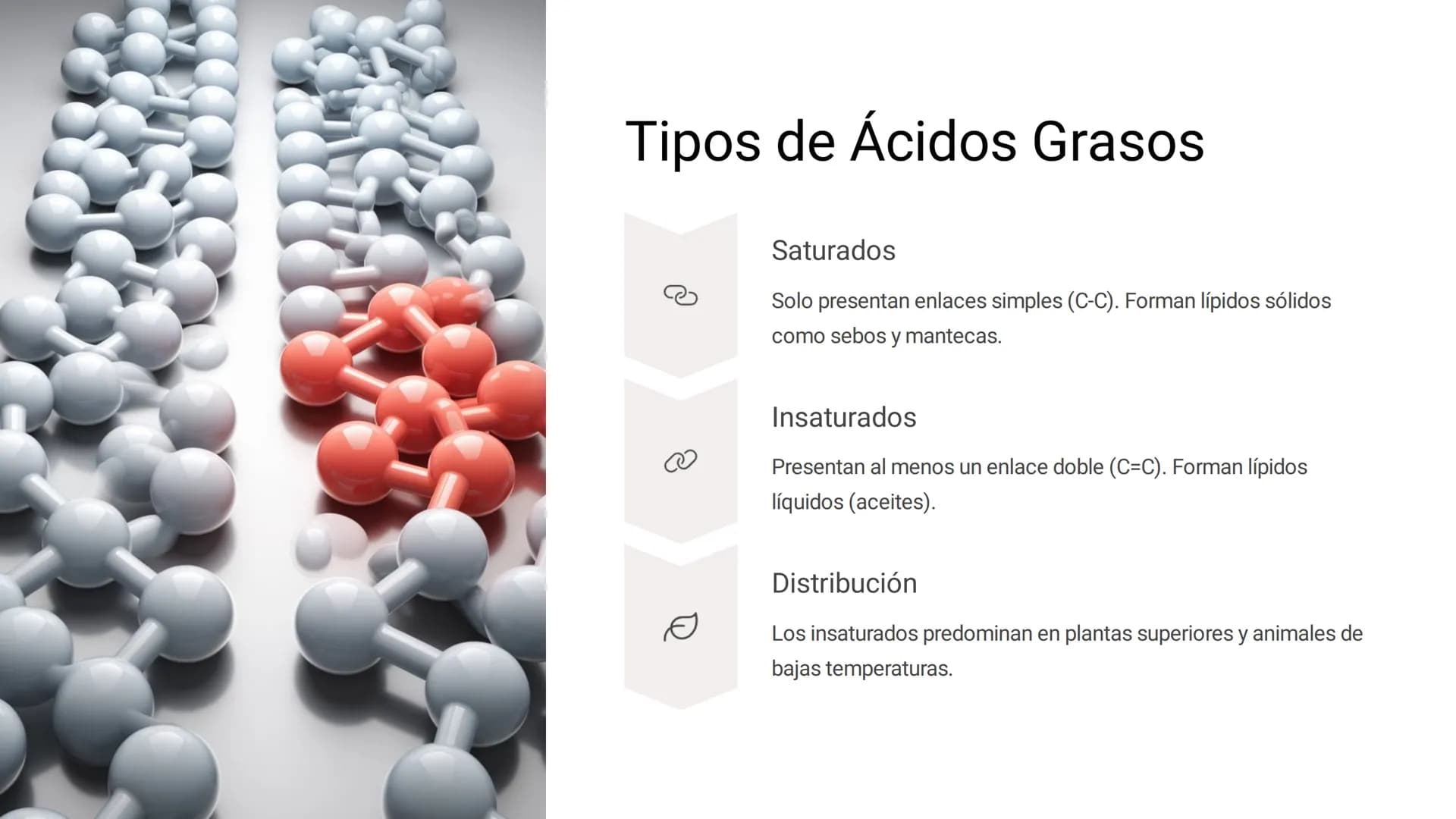 # LOS LÍPIDOS

glycoprotein
external membrane
surface
Plasma Membrane
carbohydrate
chain
Los lípidos son biomoléculas orgánicas
formadas por