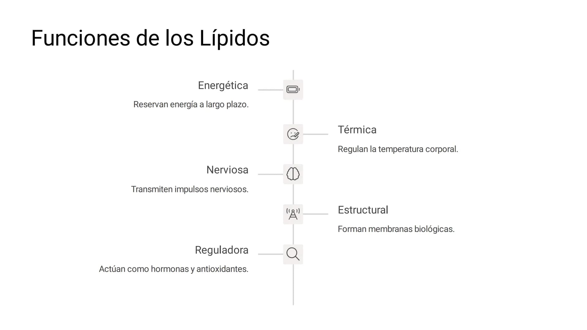 # LOS LÍPIDOS

glycoprotein
external membrane
surface
Plasma Membrane
carbohydrate
chain
Los lípidos son biomoléculas orgánicas
formadas por